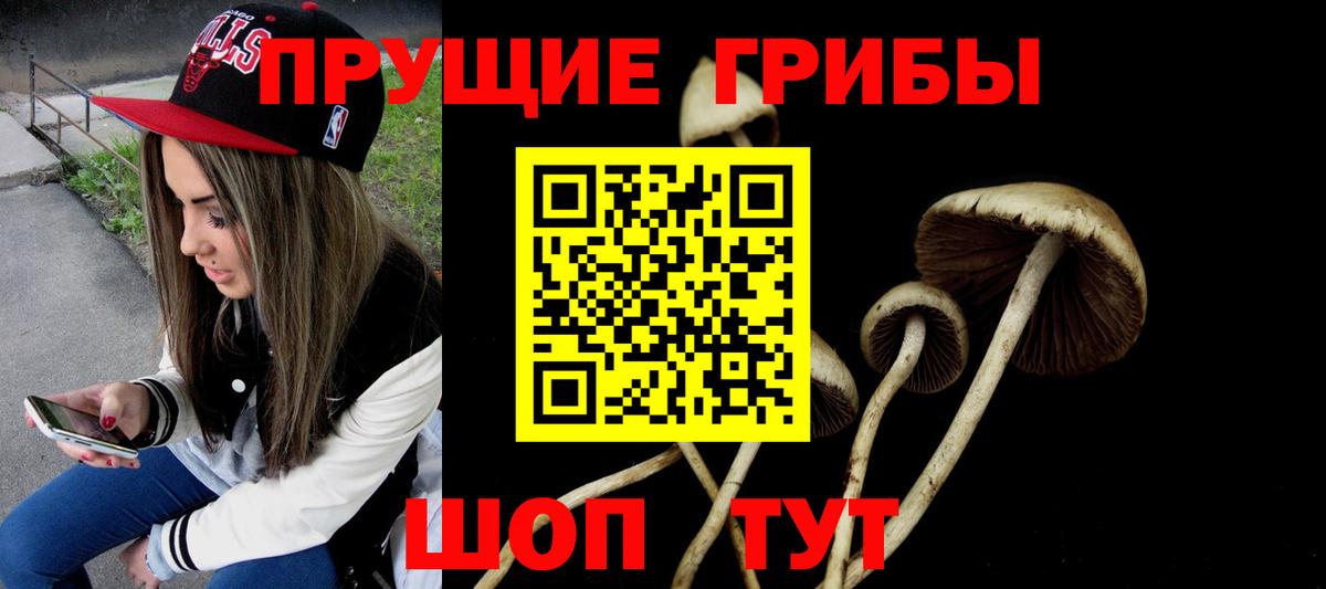 Псилоцибиновые грибы мицелий Нальчик